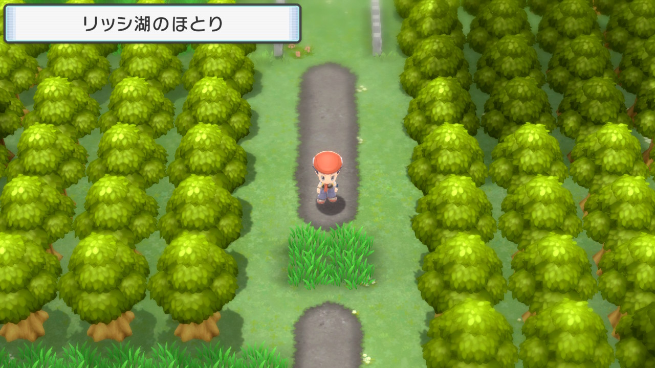 リッシ湖のほとり