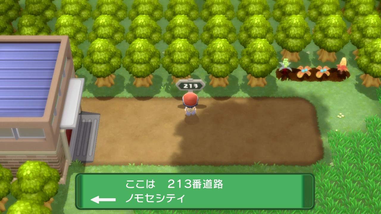 213番道路