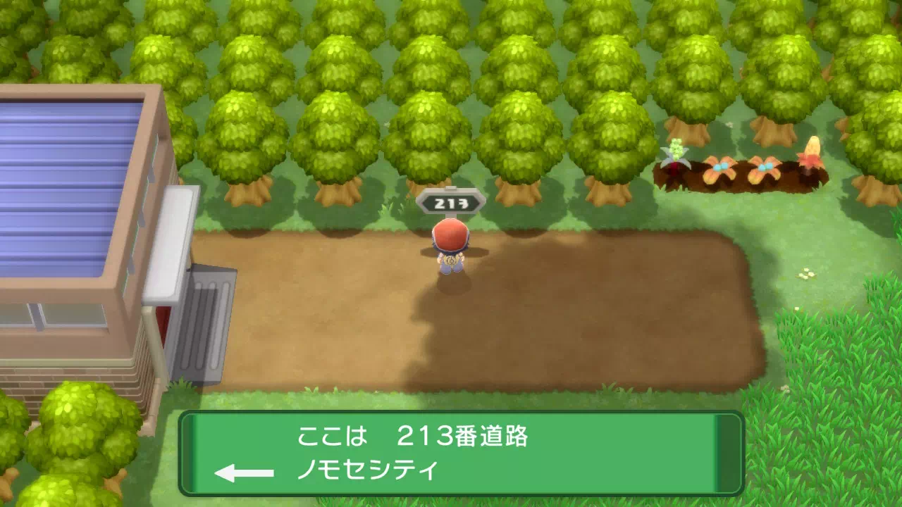 213番道路