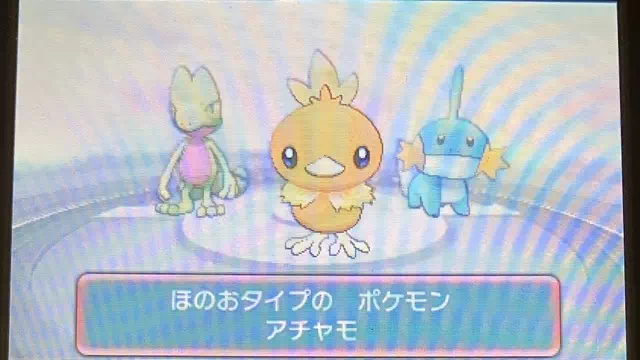 御三家、選択