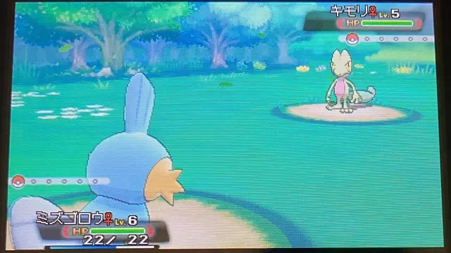 ハルカとポケモン勝負3