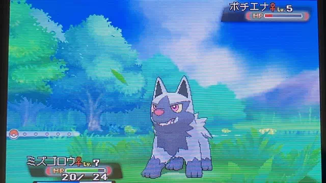 ポチエナとバトル