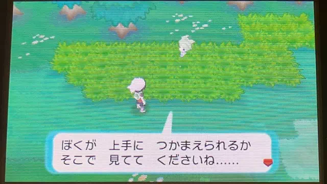 ミツルのラルトス2