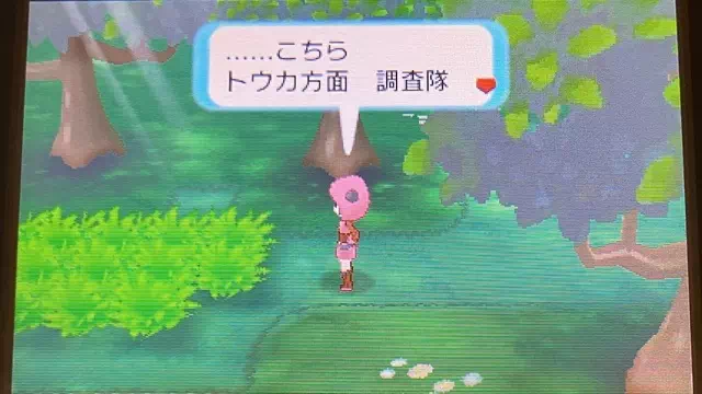 調査隊を名乗る謎のしたっぱ