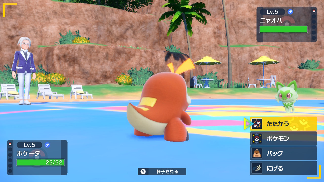 ネモとポケモンバトル2
