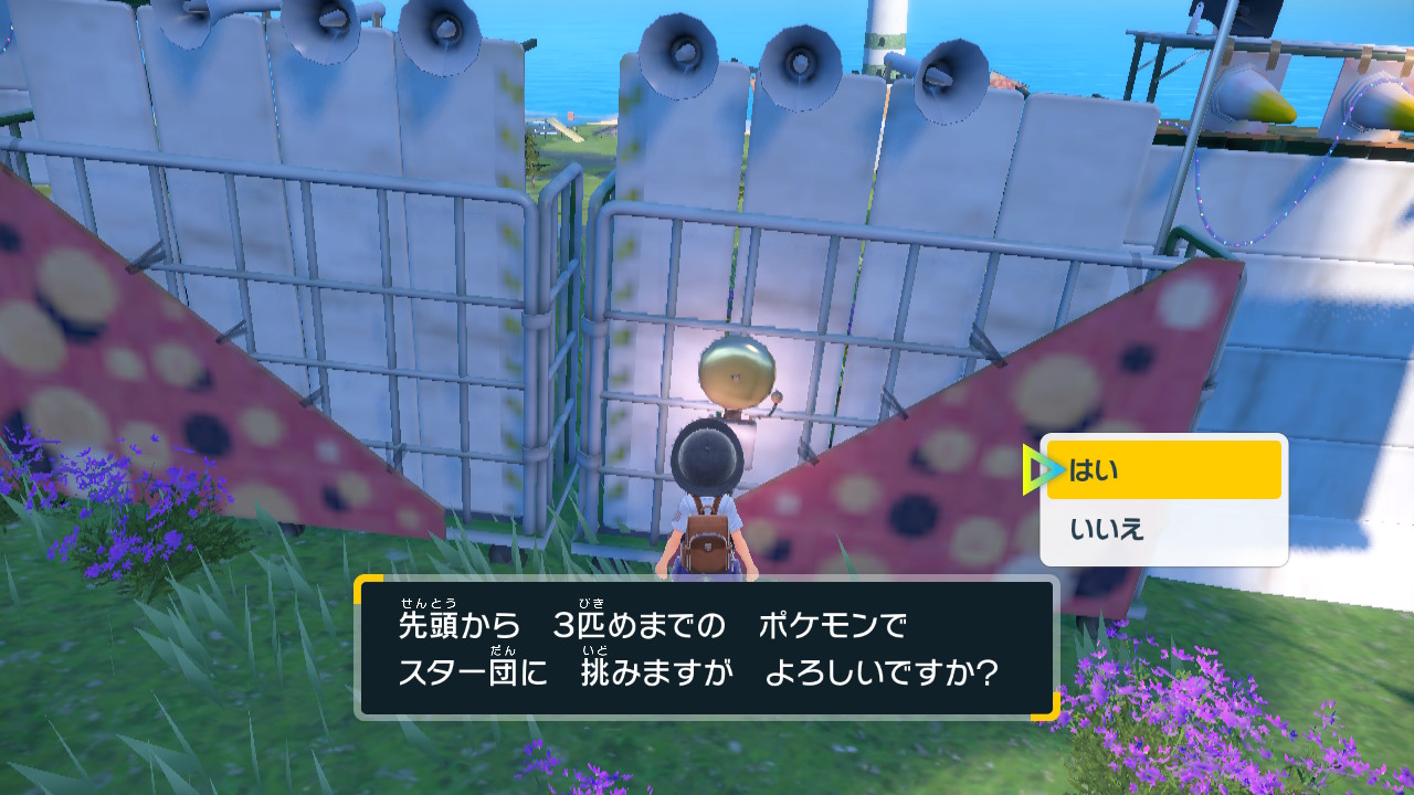先頭から3匹目までのポケモンでスター団に挑む
