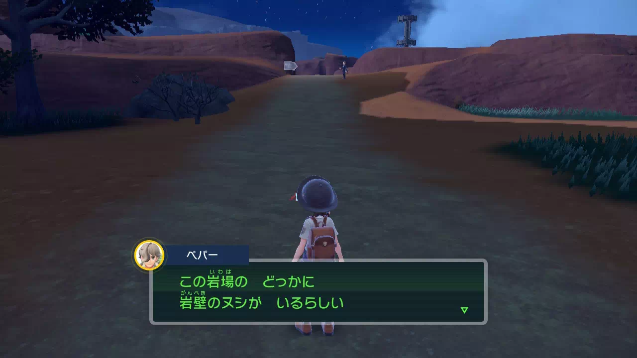 岩壁のヌシを探す