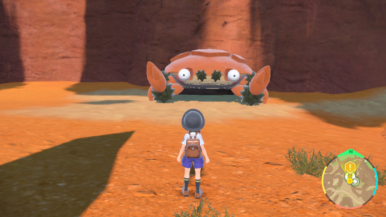 逃げたガケガニを追う