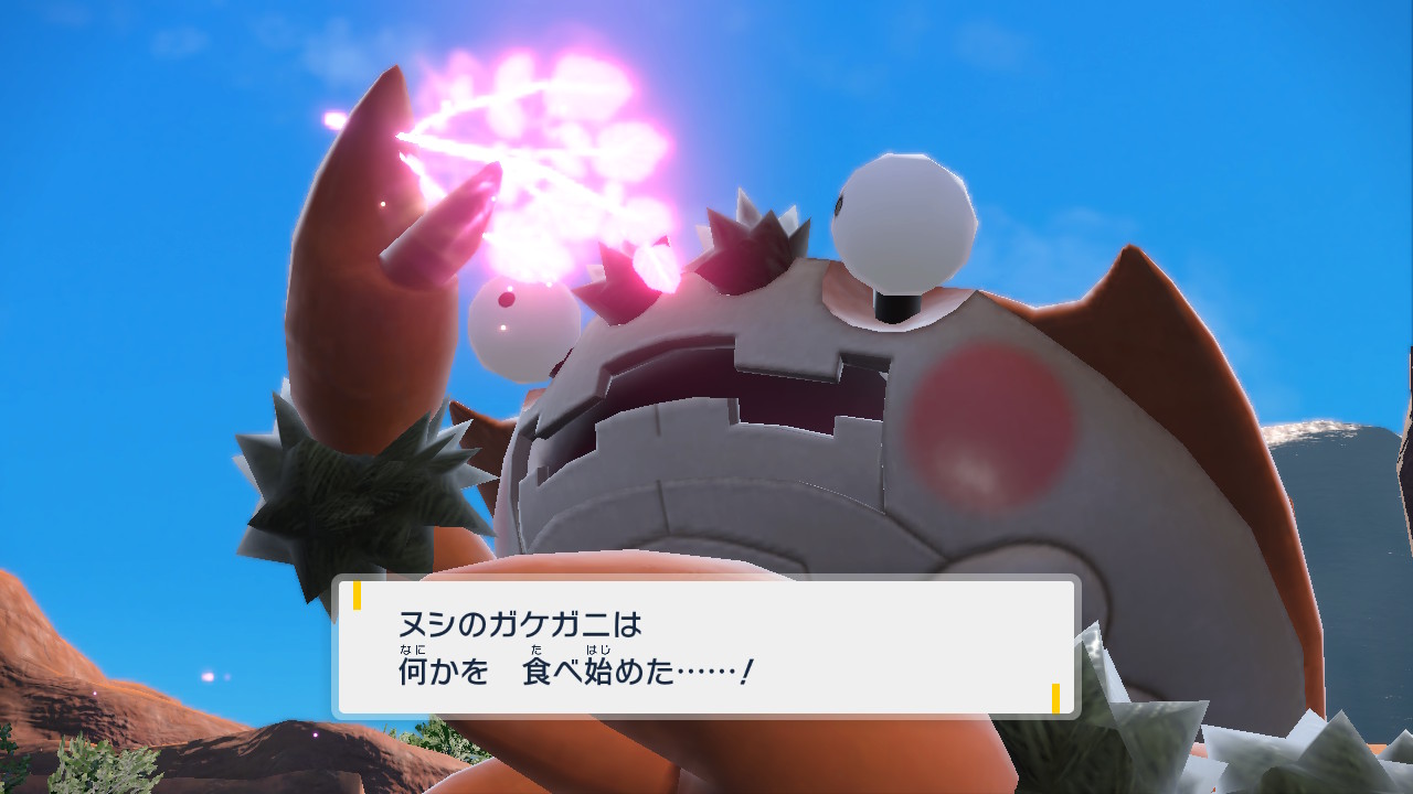 ガケガニが何かを食べ始める