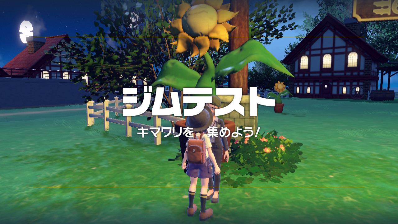 ジムテスト「キマワリ集め」開始