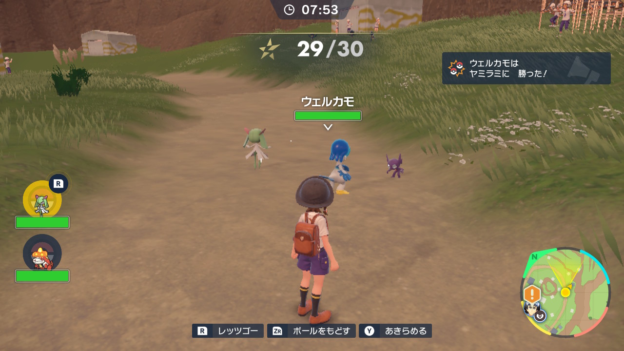 ポケモン30匹を倒す