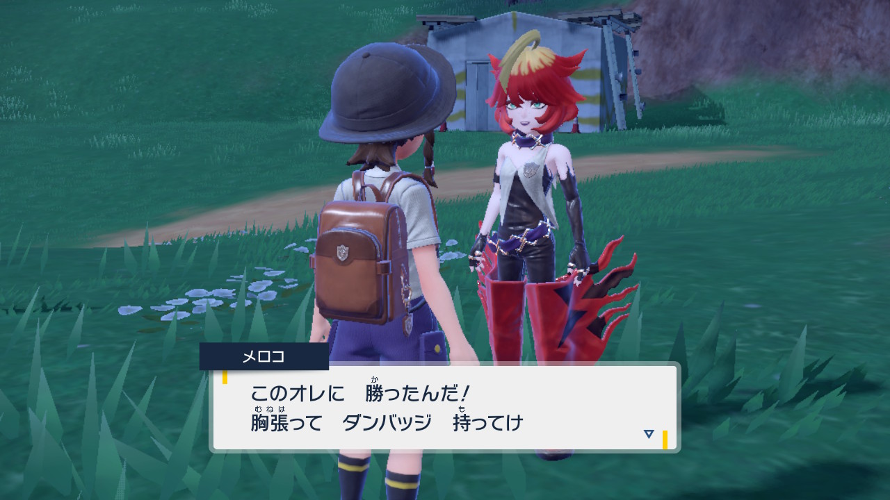 ダンバッジ:ほのお