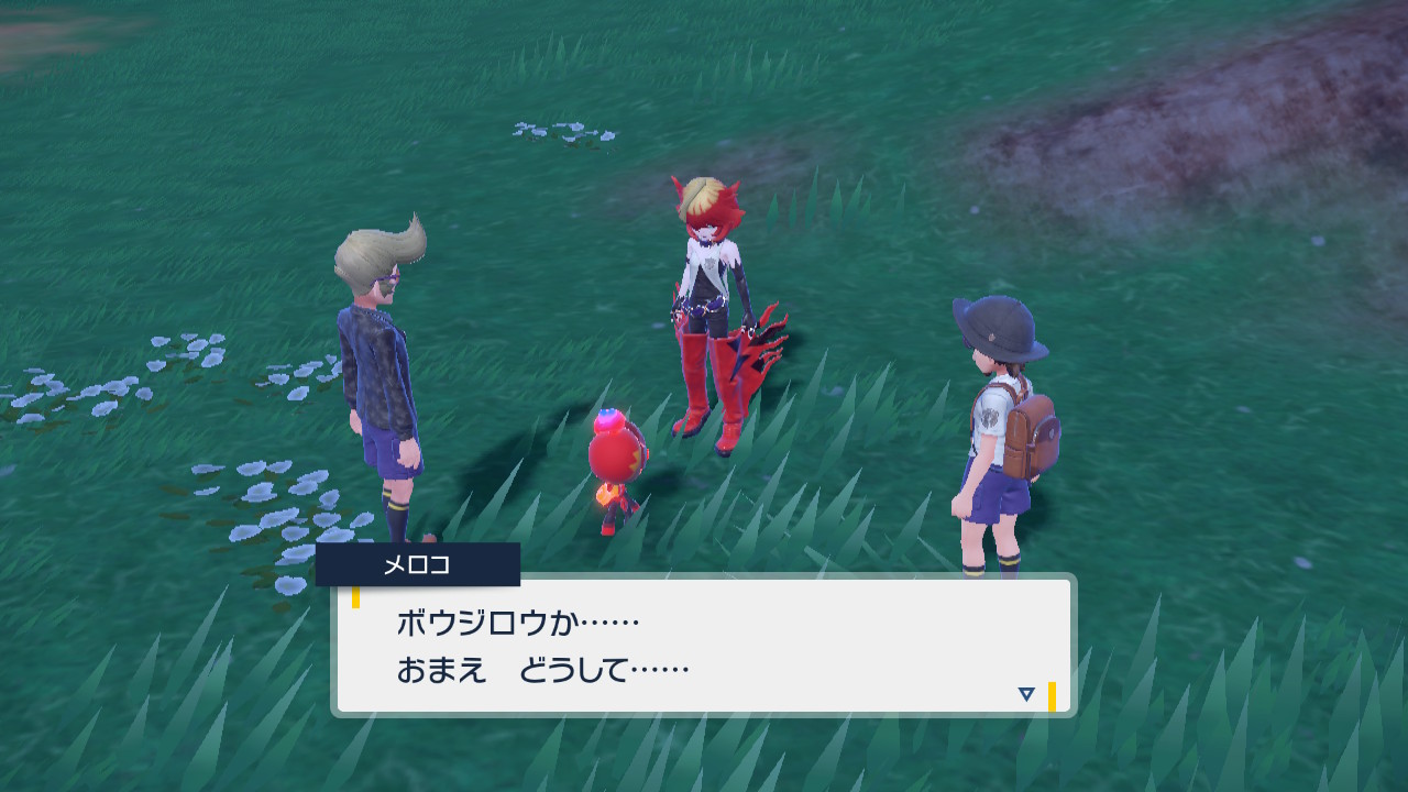 メロコに会ってほしいポケモン