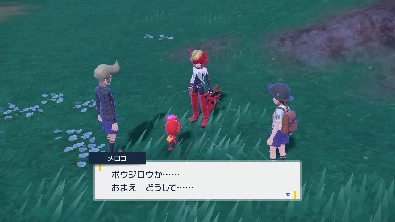 メロコに会ってほしいポケモン