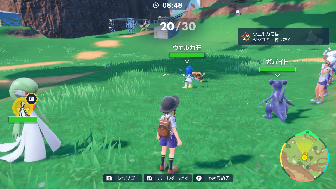 ポケモン30匹を倒す