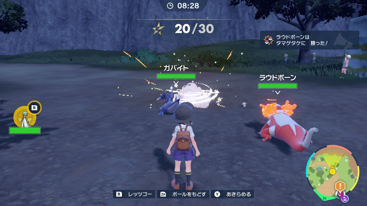 ポケモン30匹を倒す