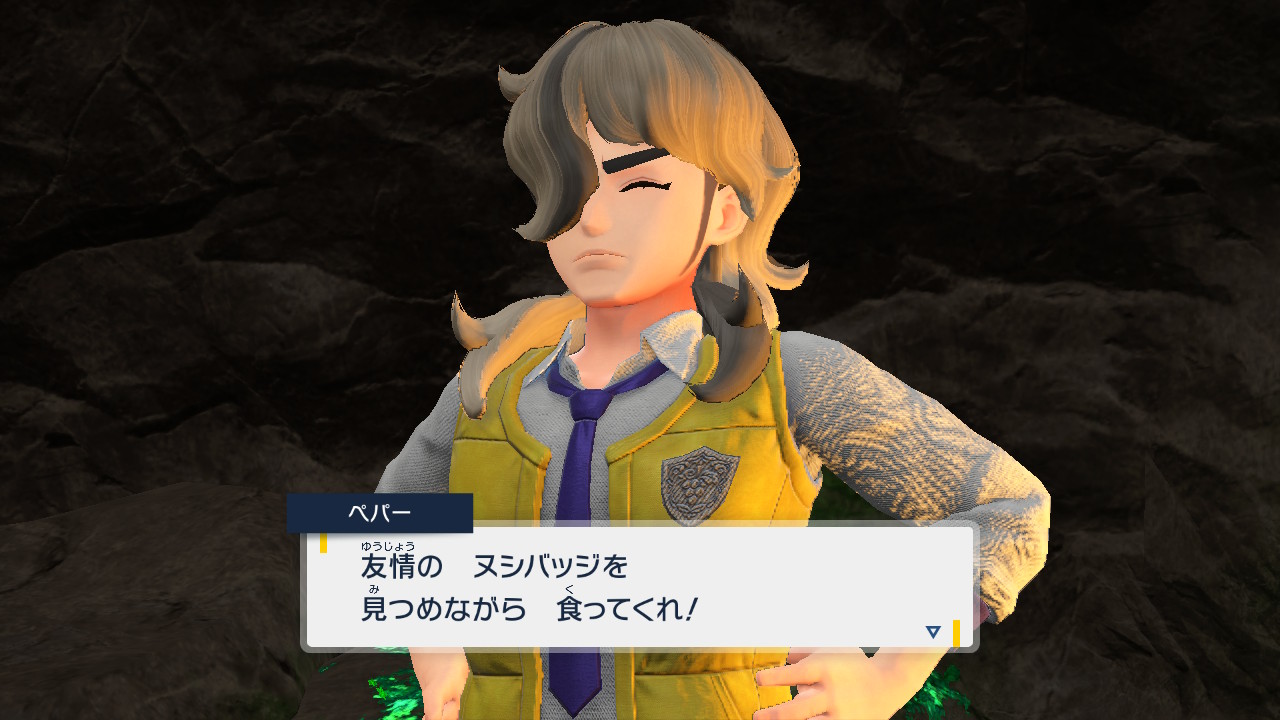 ヌシバッジ：じめん