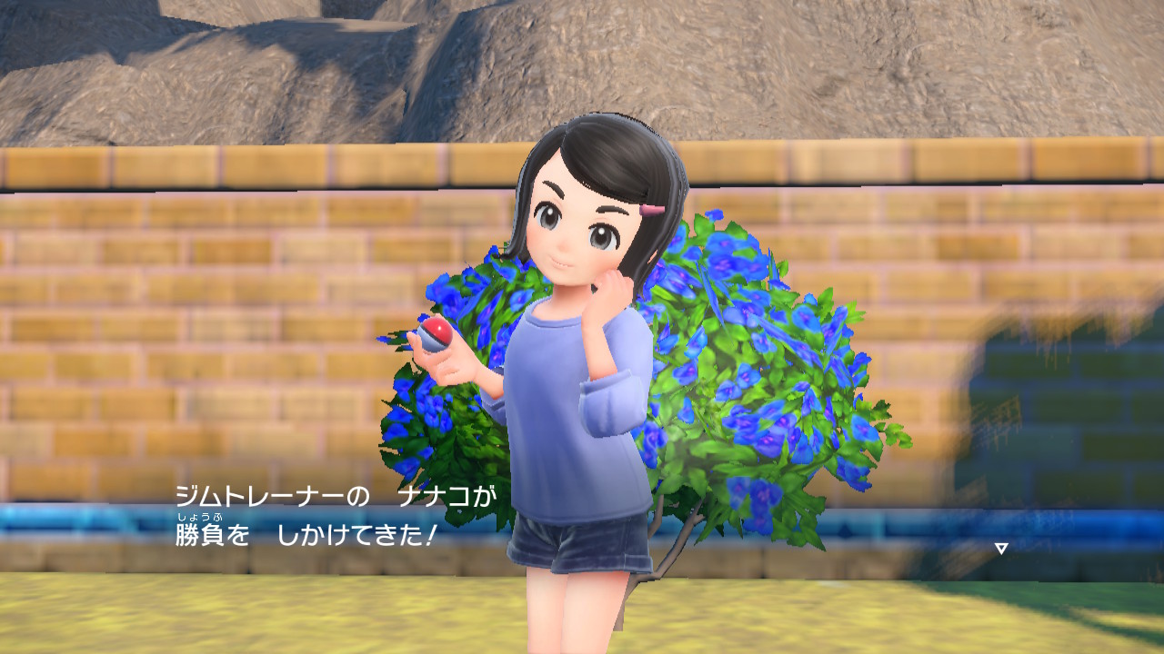 エクササイズの後はポケモン勝負