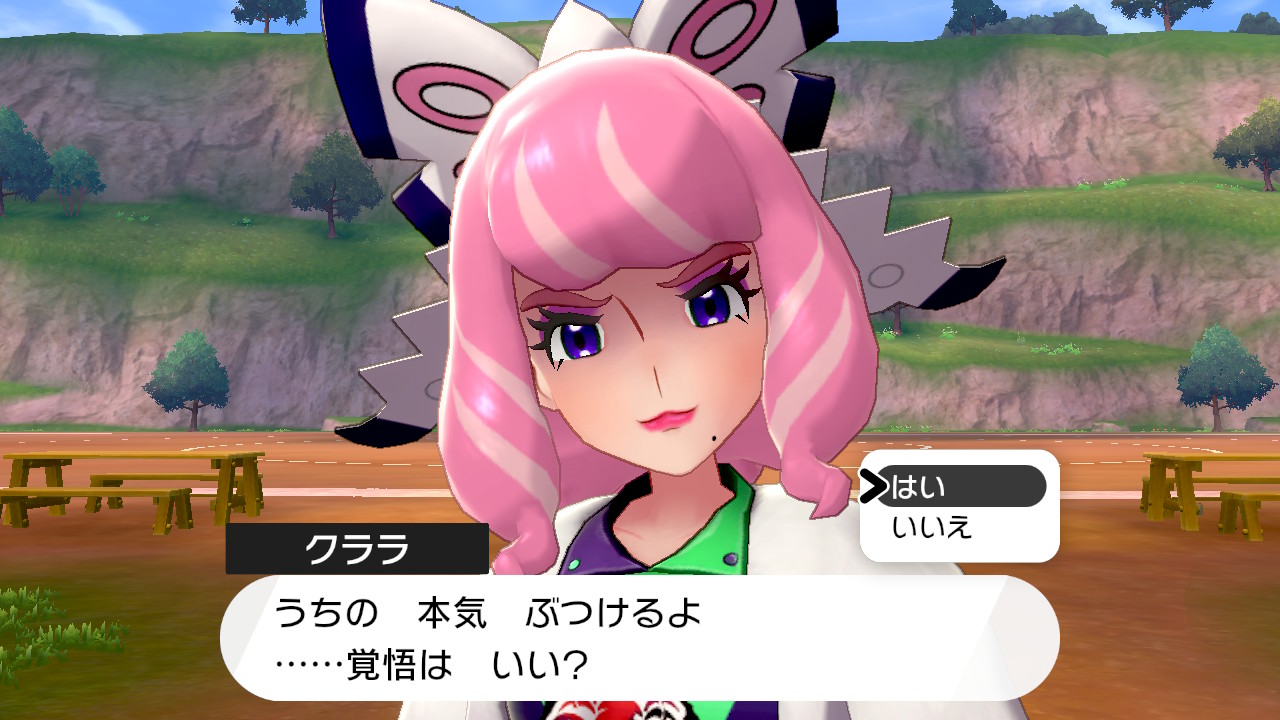 道場裏のバトルコート