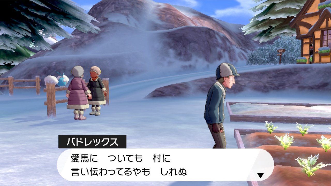 愛馬について
