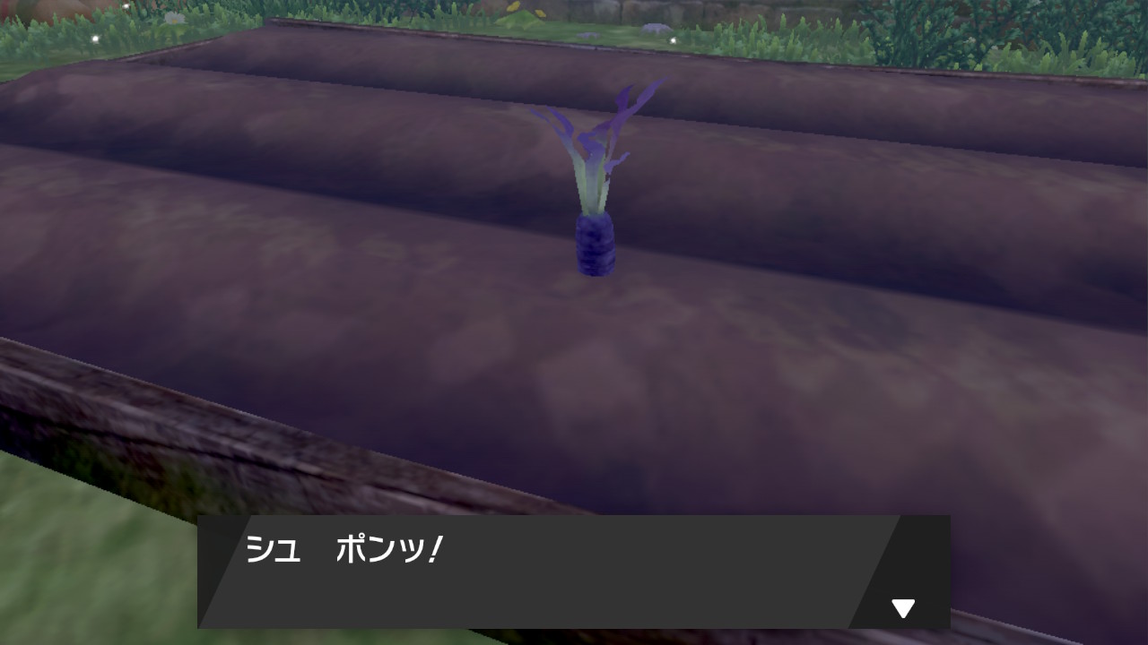 にんじんが成長