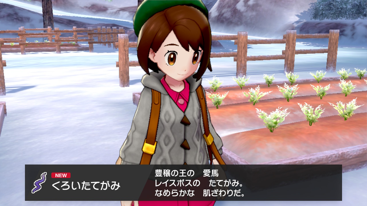 くろいたてがみ