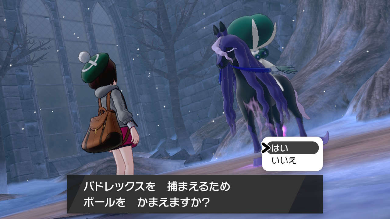 バドレックス(こくばじょうのすがた)とバトル