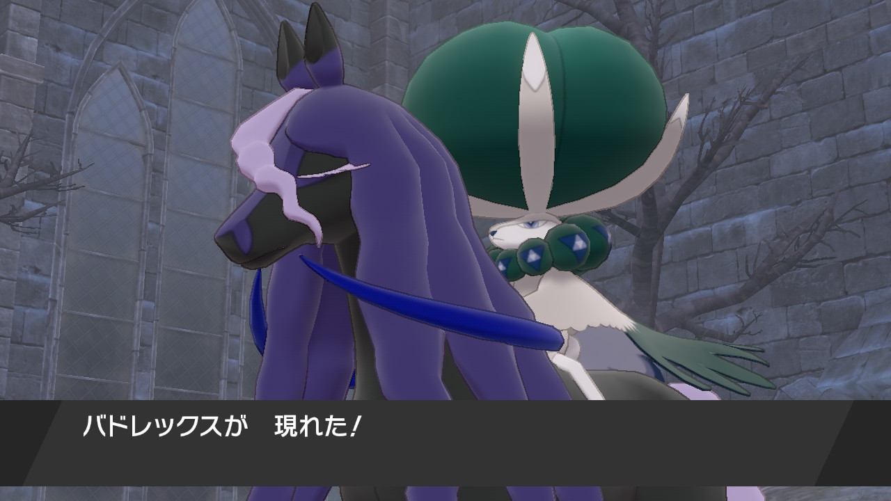 バドレックス(こくばじょうのすがた)とバトル2