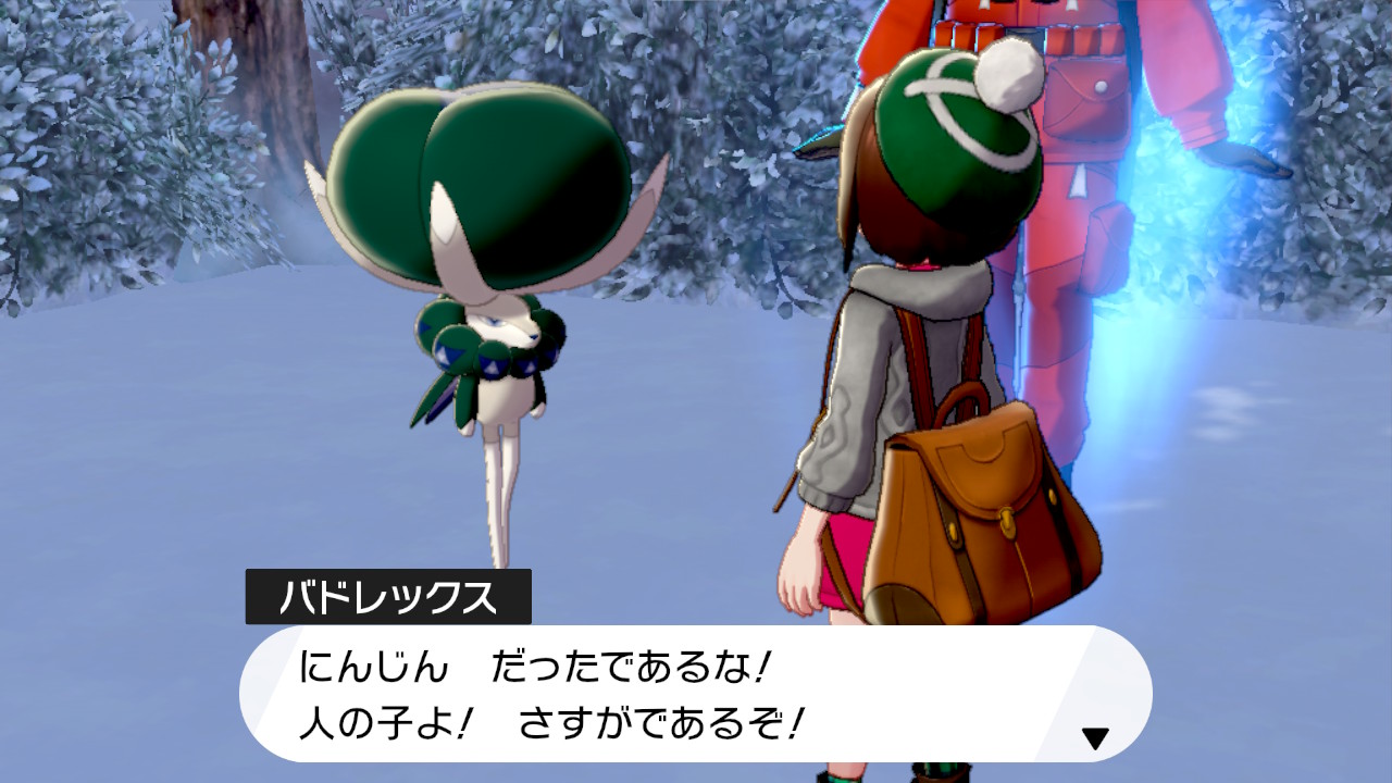 愛馬について