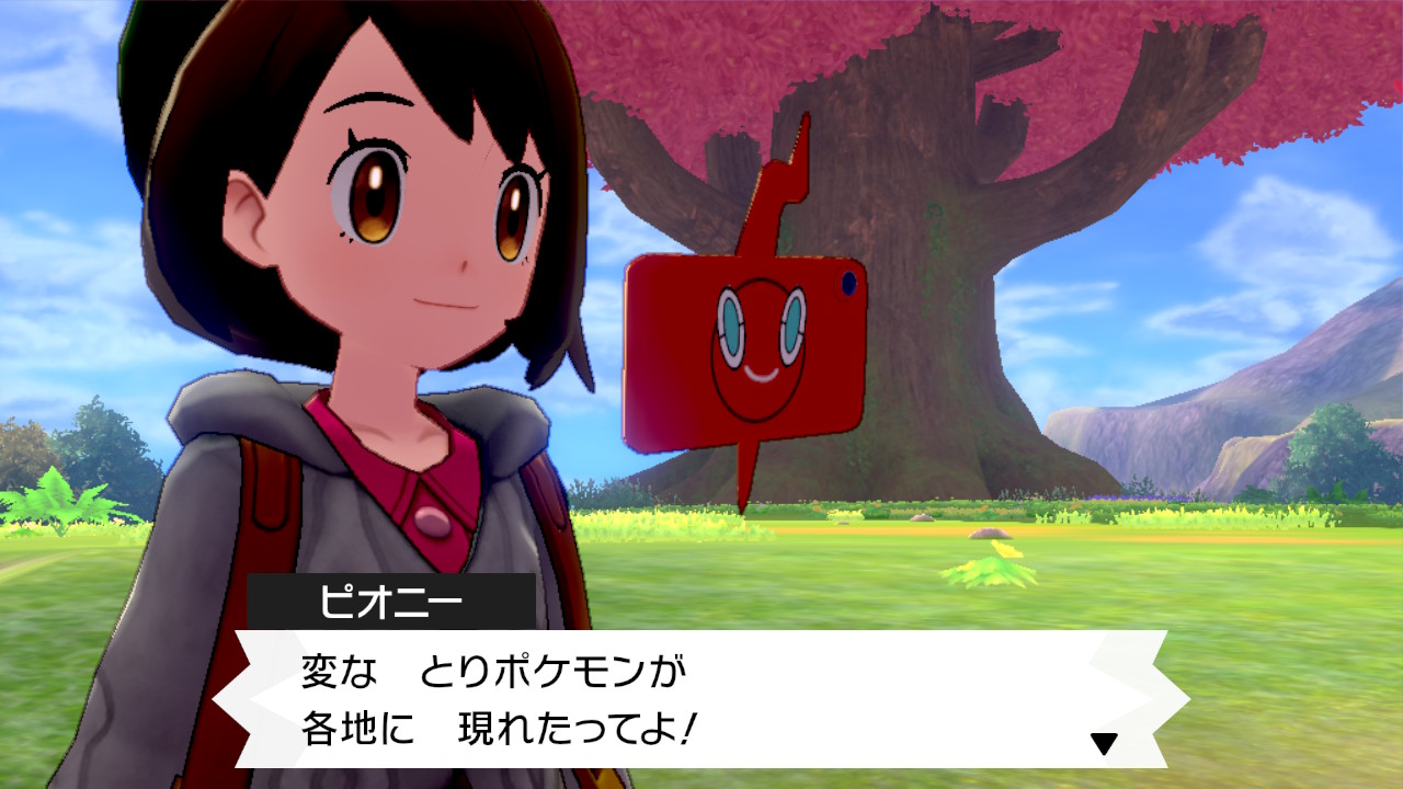とりポケモンが各地に出現