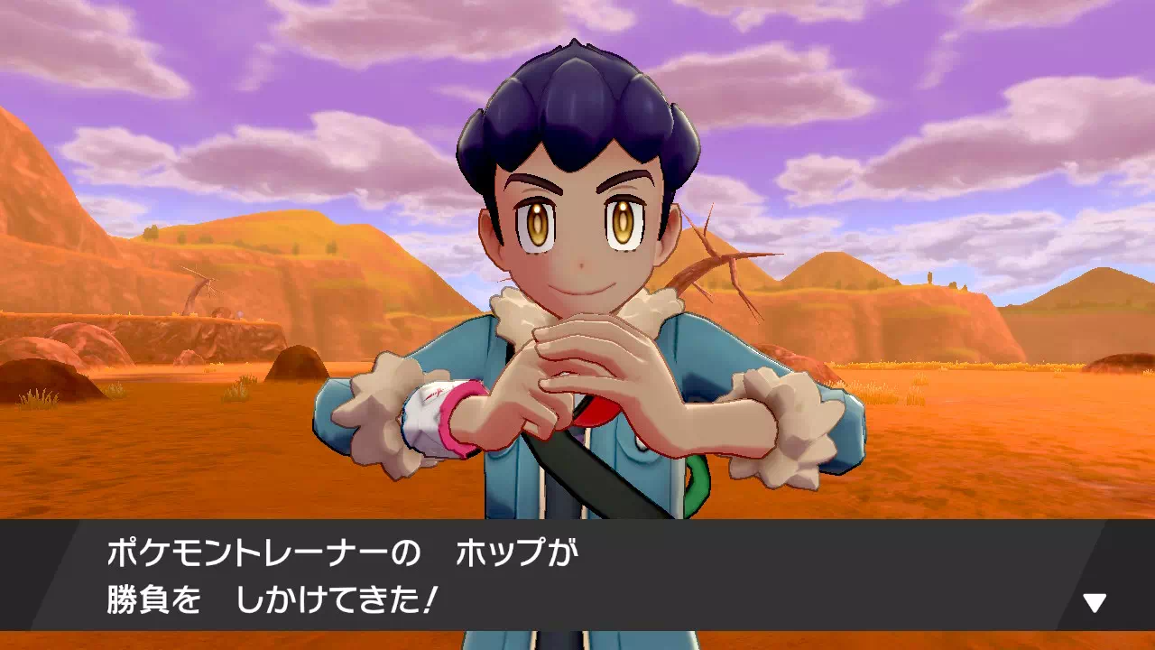 ホップとポケモンバトル