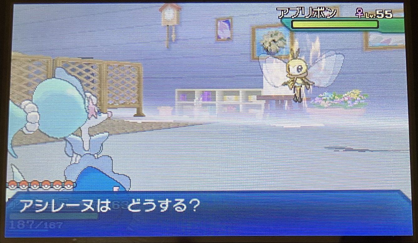 ぬしポケモンとバトル