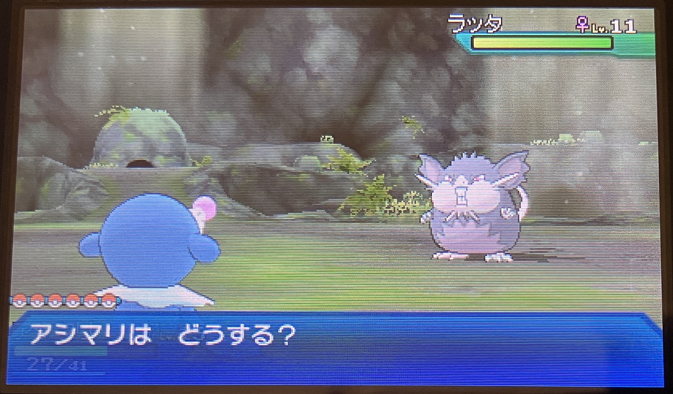 3匹目のポケモン2