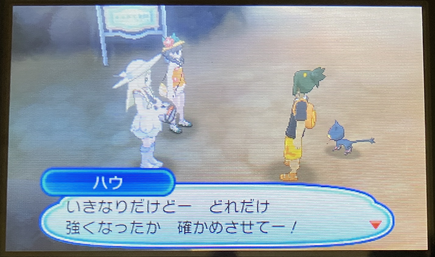 ハウとポケモンバトル