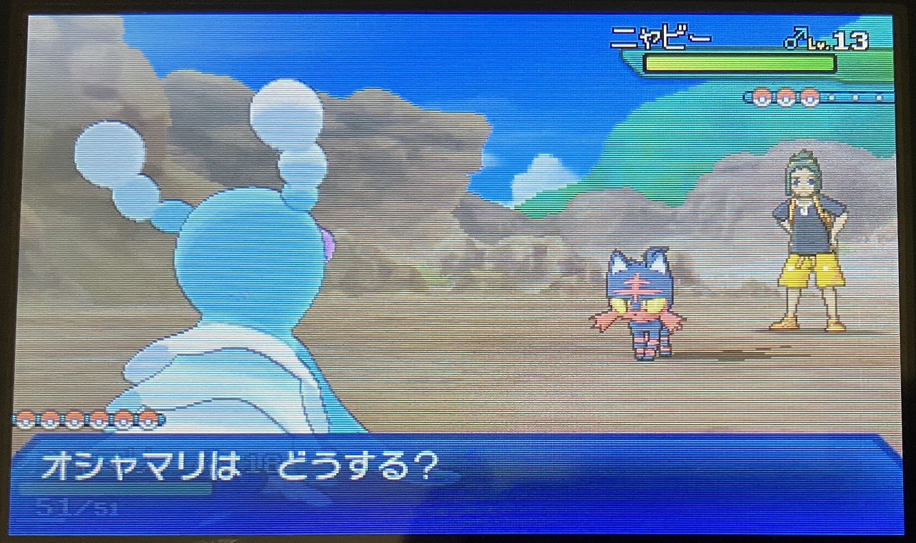 ハウとポケモンバトル2