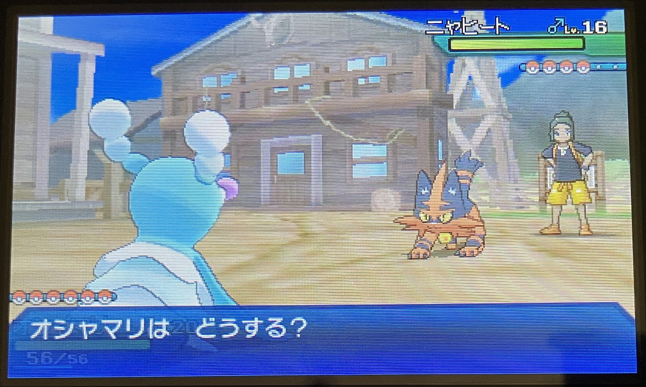 ハウとポケモンバトル