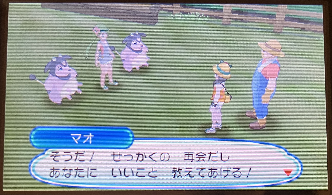 ポケモンライド「サーチ」