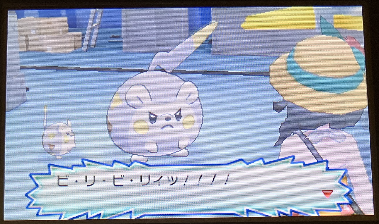 ぬしポケモン