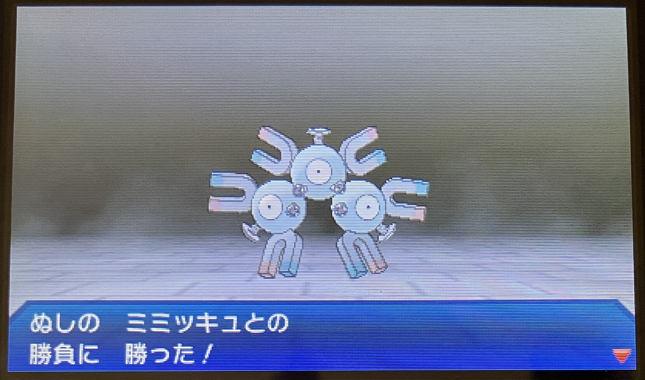 ぬしポケモンに勝利