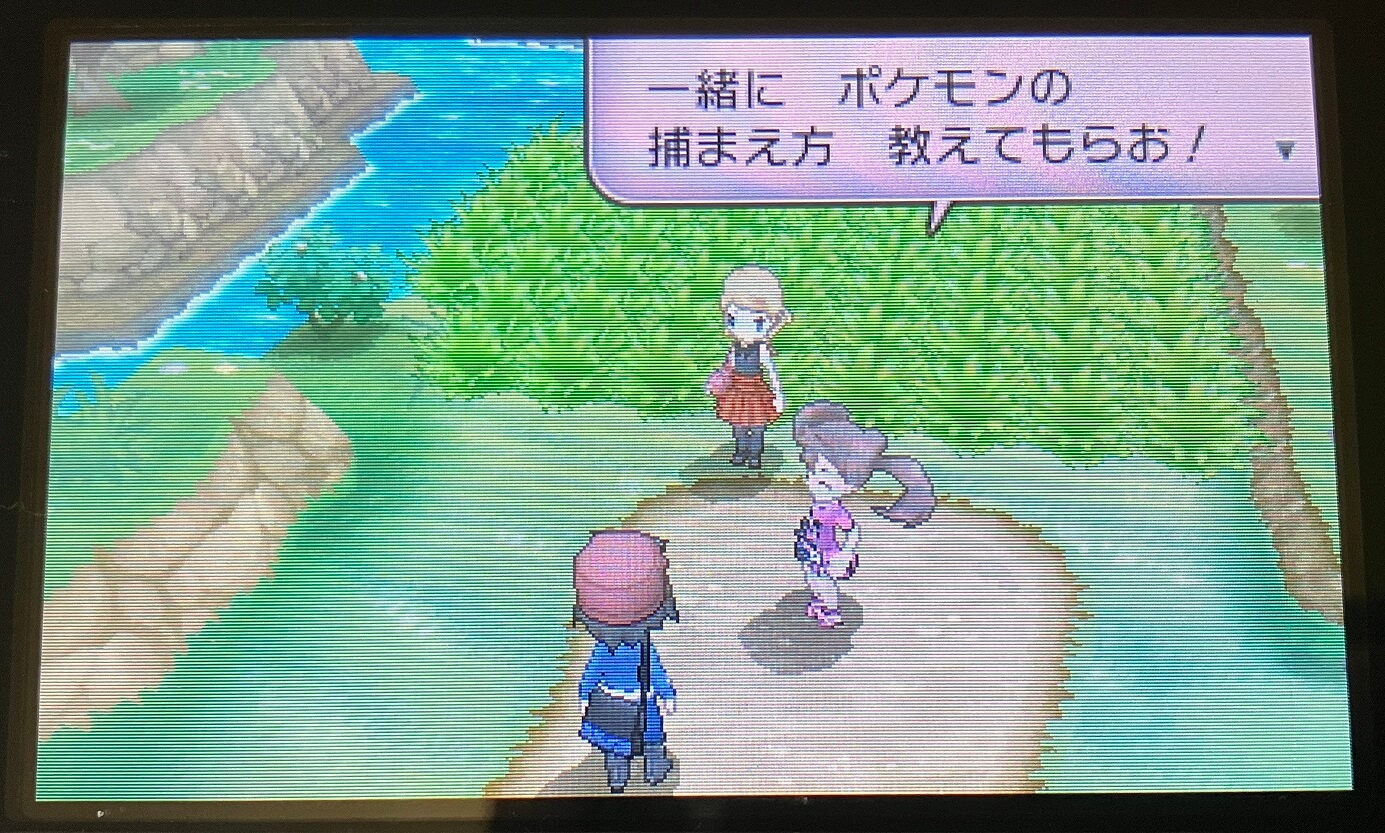 ポケモンの捕まえ方