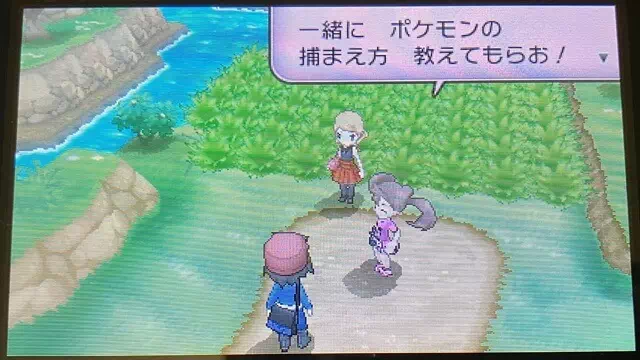 ポケモンの捕まえ方