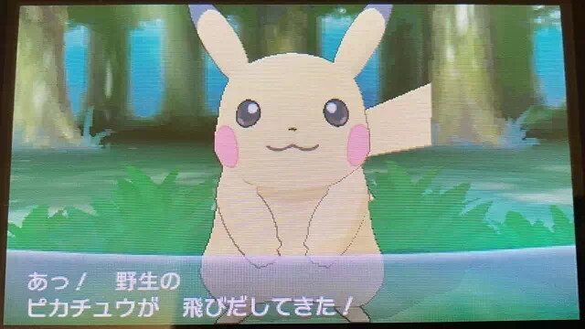 ピカチュウ遭遇