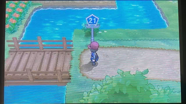 21番道路