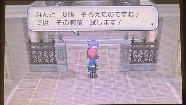 チャンピオンロードの門番