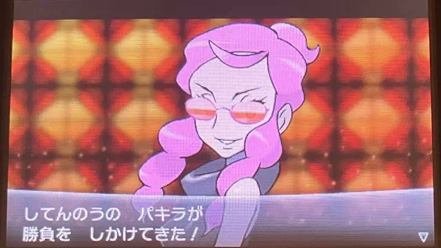 VS 四天王 パキラ