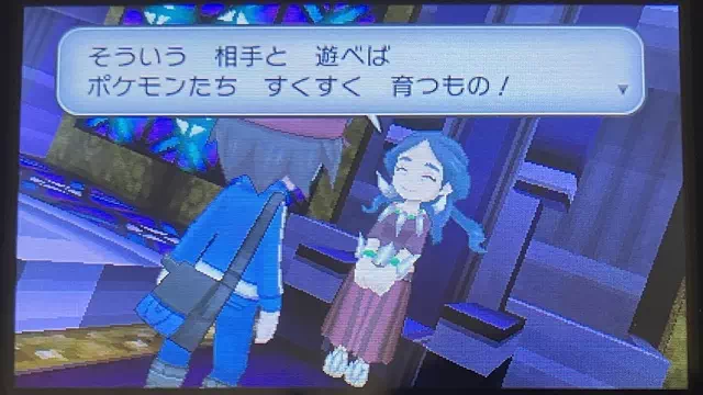 竜章の間