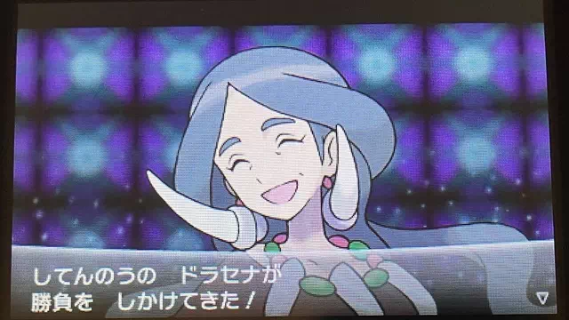 VS 四天王 ドラセナ