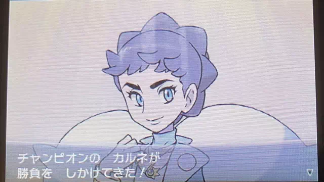 VS チャンピオン カルネ