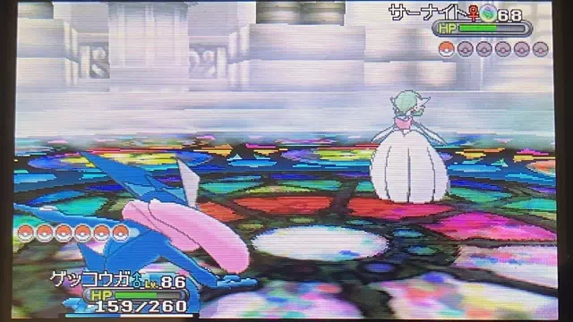 VS チャンピオン カルネ2