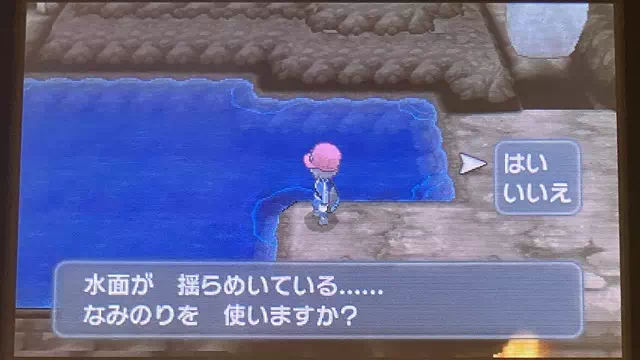 チャンピオンロード・なみのり